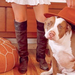 FRYE Deena OTK Harness Tall Boots Brown Suede Leather